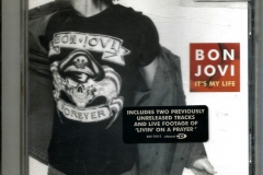 Bon Jovi - It's My Life 2000