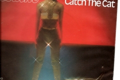 Cherry Laine ‎– Catch The Cat 1978 Single