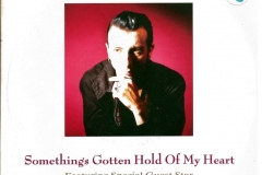 Marc Almond Featuring Special Guest Star Gene Pitney ‎– Something's Gotten Hold Of My Heart1989