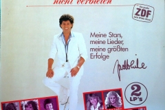 Wir-Lassen-Uns-Das-Singen-Nicht-Verbieten-Doppel-LP-1985