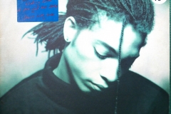 Terence-Trent-DArby-Introducing-The-Hardline-According-To-Terence-Trent-DArby-LP-1987