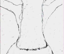 BackBlackWhite 12.02.1999 29,4 x 21 cm Bleistift auf Papier