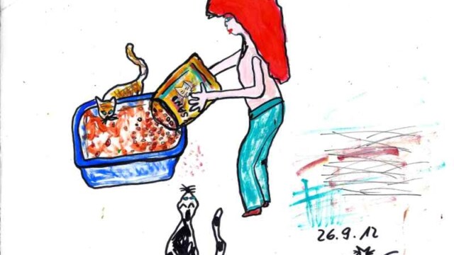 Katzen mögen es sauberBK260912