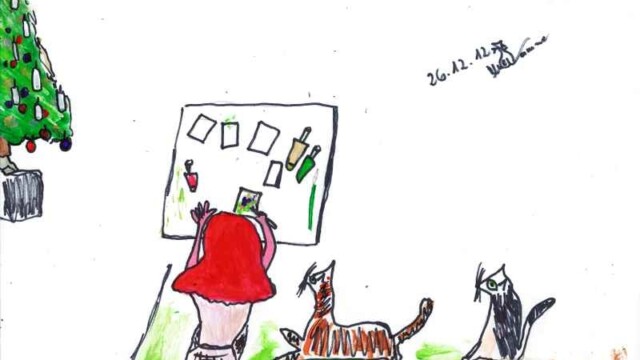 Weihnachtsgeschenke testen261212