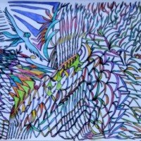 Naturebird 23.05. - 19.06.2016 42 x 29,5 cm Buntstift + Tusche auf Papier