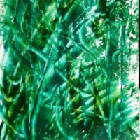 Spinach 02.09.2011 44 x 30 cm Gouache auf Papier