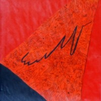 Stanitzl 06.11.2011 42 x 29,5 cm Acryl + Fineliner auf Papier