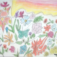 SunnyFlowers 21.09.2013 42 x 29,5 cm Pastellkreide auf Papier