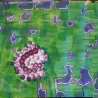 Trester 02.09. - 06.09.2011 84 x 60 cm Acryl auf Papier