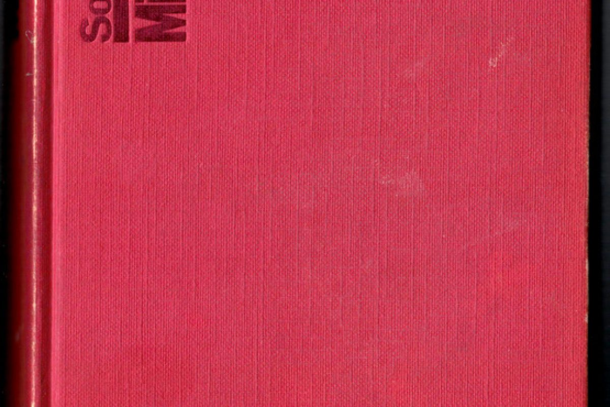 Heinz Sobota Der Minus Mann