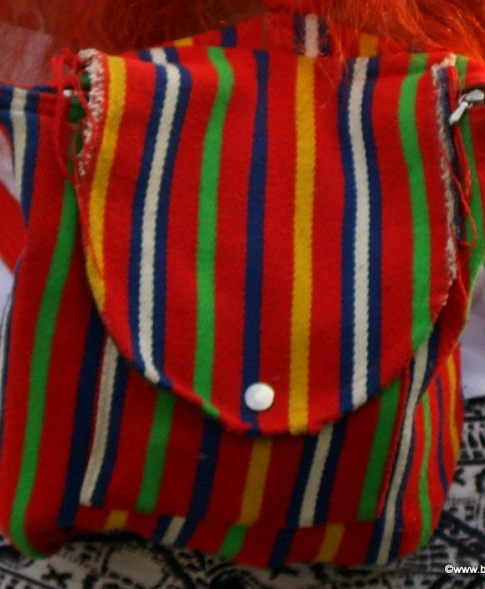 Das Mysterium der Damenhandtasche