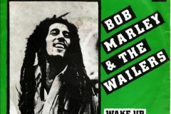 Bob Marley Survival 1979 Single