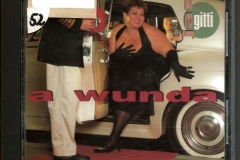 Jazz Gitti ‎– A Wunda 1990