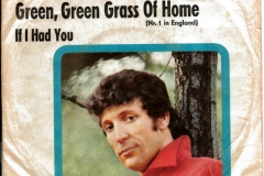 Tom Jones ‎– Green, Green Grass Of Home 1966 Single
