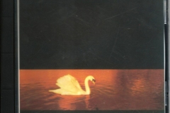 Van Morrison Avalon Sunset 1989 CD