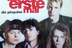 Die-Pinguine-Das-Erste-Mal-LP-1990