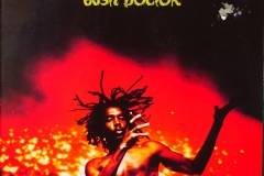 Peter-Tosh-Bush-Doctor-LP-1978