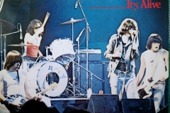 Ramones-Its-Alive-Doppel-LP-1979