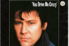 Shakin Stevens You drive me crazy 1981 Single