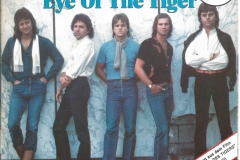 Survivor Eye of the Tiger 1982 Single