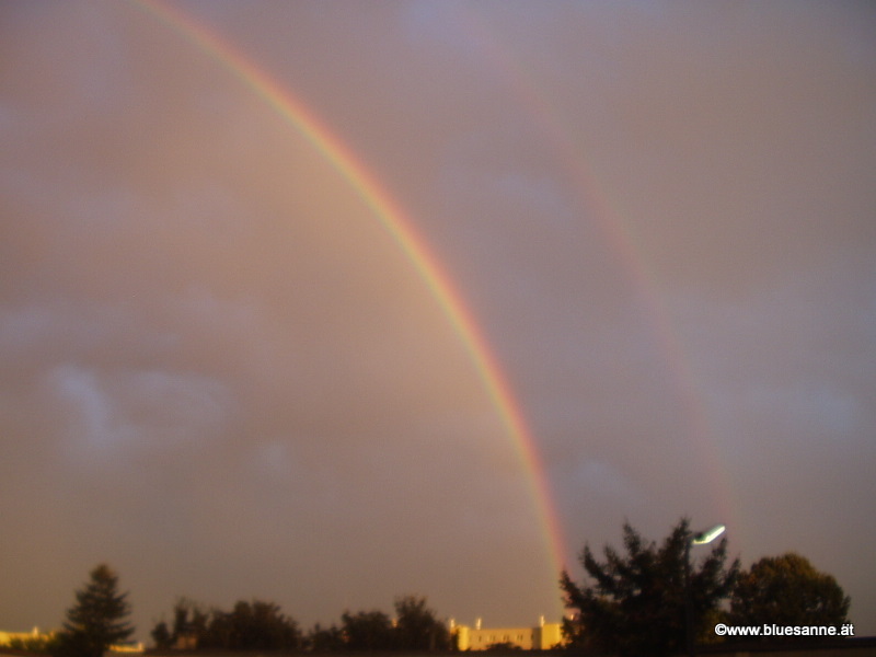 Regenbogen – die bunten Wassertröpfchen am Firmament