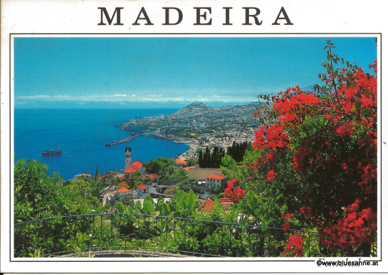 Madeira - Ansichtskarte