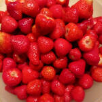 -frisch gewaschene Erdbeeren
