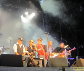 Kaiserwiese 19082016 - 13