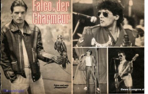Falco Bravo3
