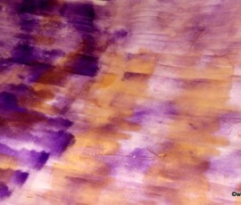 G9 Acryl + Klarlack auf Papier 63 x 44 cm