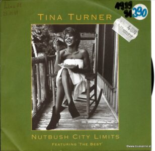 Tina Turner Nutbush City Limits 1991 Single